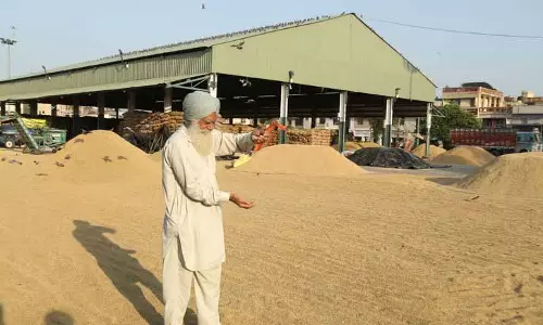 Jalandhar: धान उठाव अभी तक शुरू नहीं, किसान नाराज Jalandhar: धान उठाव अभी तक शुरू नहीं, किसान नाराज
