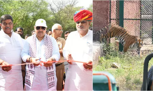 Rajasthan: सीएम भजन लाल शर्मा ने जयपुर में टाइगर सफारी का उद्घाटन किया Rajasthan: सीएम भजन लाल शर्मा ने जयपुर में टाइगर सफारी का उद्घाटन किया