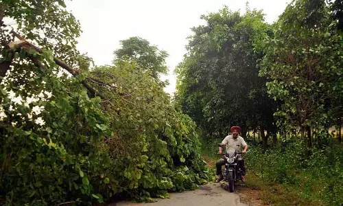 Amritsar: निवासियों को बिजली कटौती का सामना करना पड़ रहा Amritsar: निवासियों को बिजली कटौती का सामना करना पड़ रहा