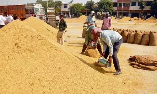 Amritsar: निजी एजेंसियों द्वारा 2 लाख मीट्रिक टन से अधिक बासमती का उठाव किया Amritsar: निजी एजेंसियों द्वारा 2 लाख मीट्रिक टन से अधिक बासमती का उठाव किया