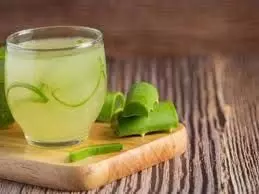 Aloe Vera:  झटपट तैयार करें रेसिपी