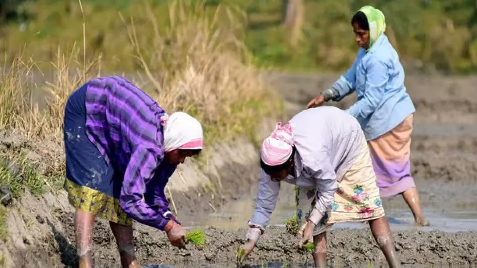 Tezpur विधायक ने 2,086 किसानों को मृदा स्वास्थ्य कार्ड वितरित किए