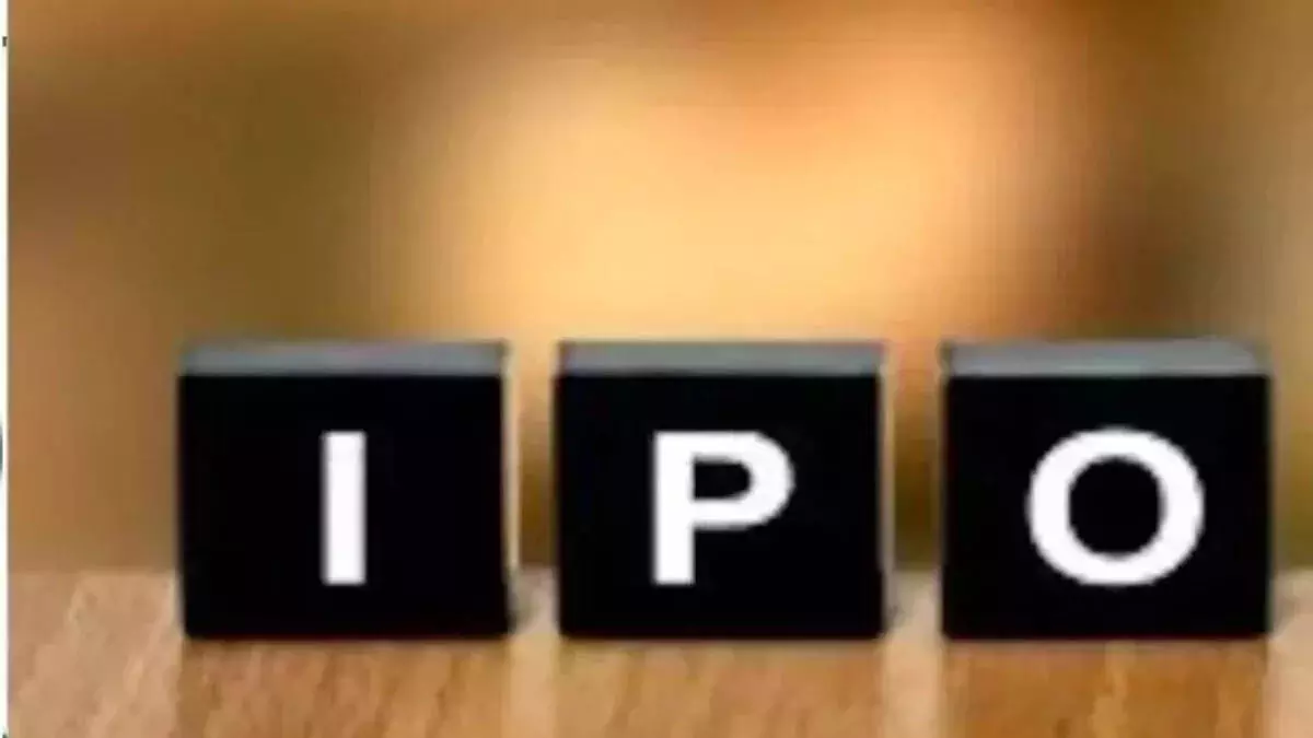 IPO खुला तो इसे काफी अच्छा रिस्पॉन्स मिला