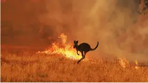 Australia जलवायु परिवर्तन के खतरों के लिए तैयार नहीं है: पूर्व सुरक्षा अधिकारी