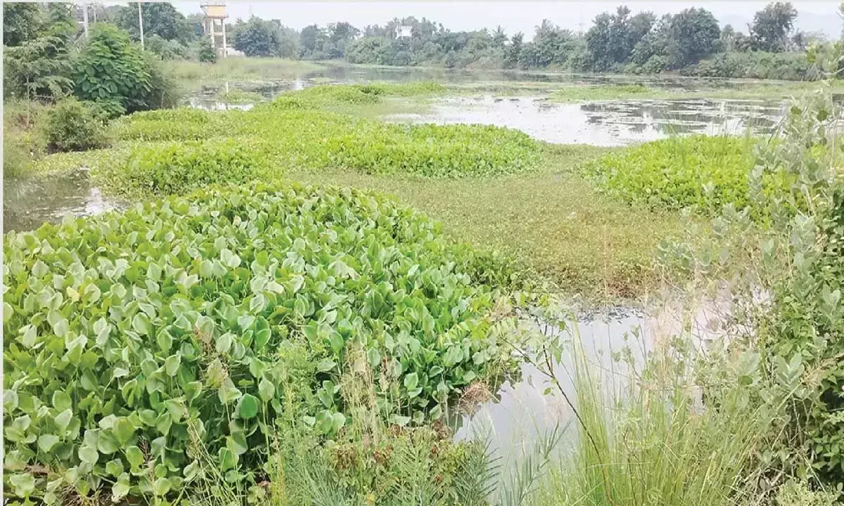 Srikakulam जिले में टैंकों के रखरखाव की पूरी तरह उपेक्षा