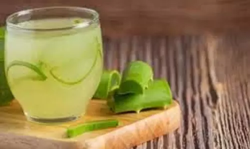 Aloe Vera:  झटपट तैयार करें रेसिपी