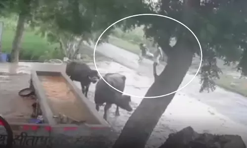 बाइक सवार युवक का आतंक, छात्रा का खींचा दुपट्टा, कैमरे में कैद