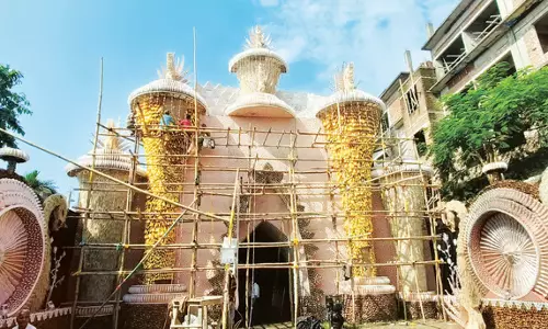 Assam : नगर निगम दुर्गा पूजा में राष्ट्रीय पक्षी संरक्षण को बढ़ावा