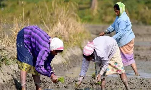 Tezpur विधायक ने 2,086 किसानों को मृदा स्वास्थ्य कार्ड वितरित किए