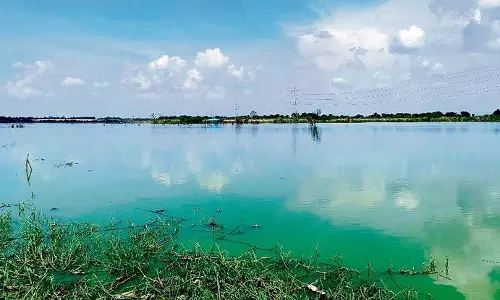 Haryana : प्रदूषण बोर्ड 6 एसटीपी पर रिपोर्ट प्रस्तुत करने में विफल Haryana : प्रदूषण बोर्ड 6 एसटीपी पर रिपोर्ट प्रस्तुत करने में विफल