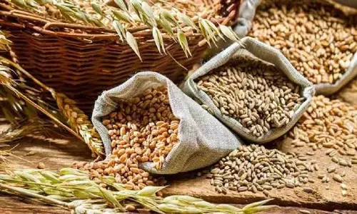 Mirzapur: समय से अनाज का उठान न करने वाले 47 कोटेदारों पर जुर्माना लगा Mirzapur: समय से अनाज का उठान न करने वाले 47 कोटेदारों पर जुर्माना लगा