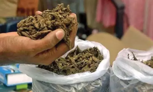Kakinada में 1.61 करोड़ मूल्य का गांजा जब्त, 3 गिरफ्तार