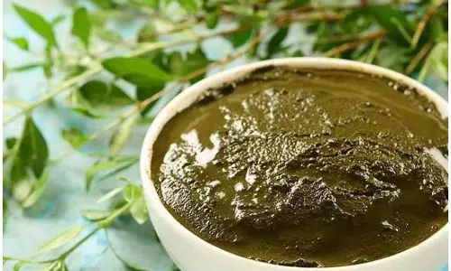 बालों में हरी पत्ती वाली मेहंदी कैसे लगाए