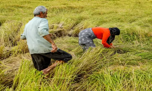 Weather Update: गर्मी ने पकड़ी रफ्तार, मध्य प्रदेश में बढ़ रहा तापमान Weather Update: गर्मी ने पकड़ी रफ्तार, मध्य प्रदेश में बढ़ रहा तापमान