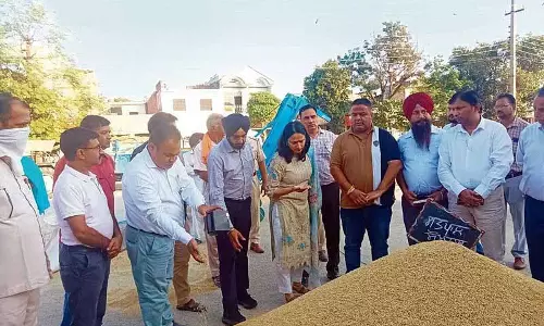Hoshiarpur की 13 मंडियों में धान की खरीद शुरू