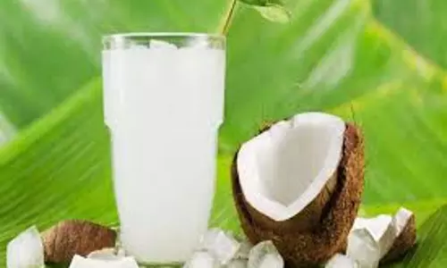 Lifestyle: अगर आप भी तेजी से बढ़ाना चाहते हैं वजन, तो ये पिए Lifestyle: अगर आप भी तेजी से बढ़ाना चाहते हैं वजन, तो ये पिए