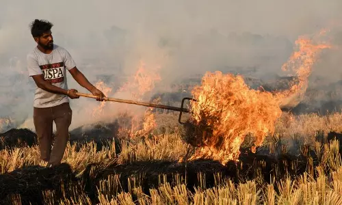 Baran: धान व अन्य फसलों के प्रतिबंधित अवशेष जलाने पर होगी दंडात्मक कार्यवाही