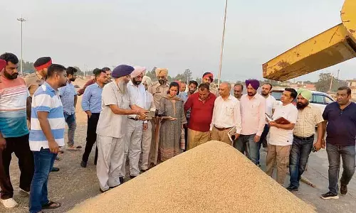 Mohali में धान की खरीद शुरू