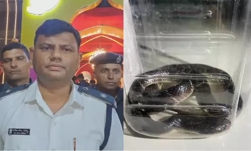 Garba के बीच पहुंचा जहरीला सांप, अटकी गरबा खिलाड़ियों समेत लोगों की सांसे