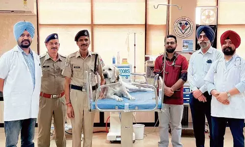 Ludhiana: कुत्ता ‘एनेक्स’ पशु चिकित्सालय में डायलिसिस के बाद स्वस्थ हो गया Ludhiana: कुत्ता ‘एनेक्स’ पशु चिकित्सालय में डायलिसिस के बाद स्वस्थ हो गया
