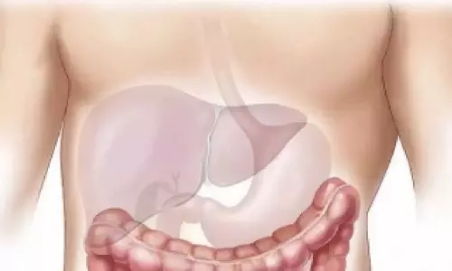 Japanese अध्ययन में खुलासा, फैटी लीवर रोग से लड़ने के लिए आंत के हार्मोन महत्वपूर्ण