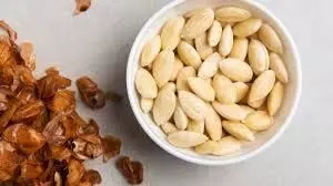 Almond peels:  बादाम के छिलकों का ऐसे करें इस्तेमाल