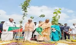 Lucknow: योगी सरकार अब पेड़ बचाओ अभियान चलायेगी