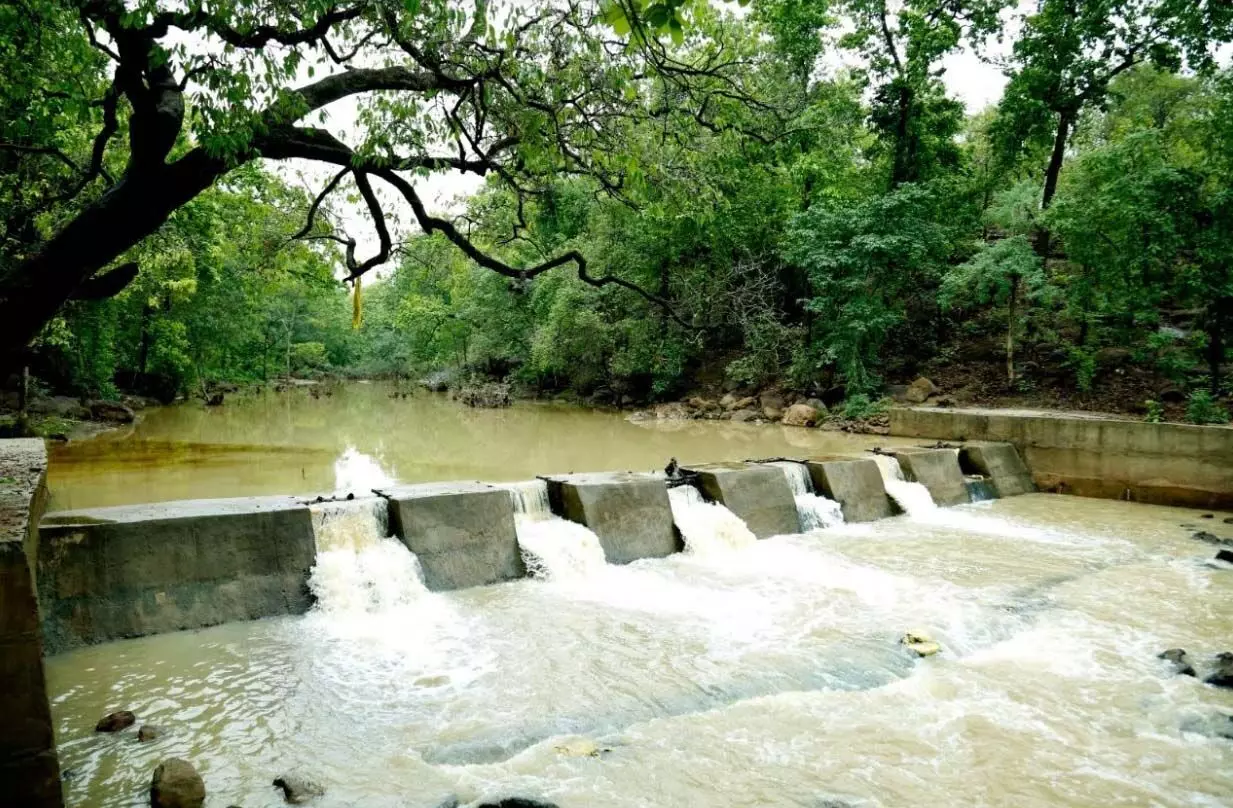 कलेक्टर के मार्गदर्शन में जल शक्ति अभियान के लिए किए जा रहे विविध कार्य