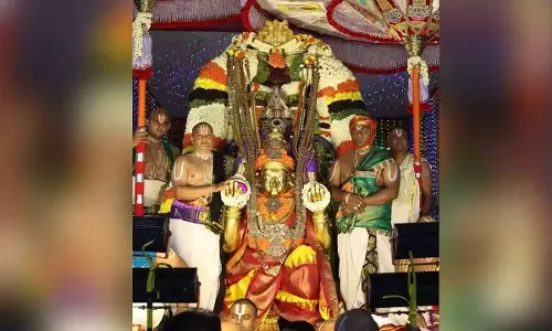 Brahmotsavam Day 5: मोहिनी ने भक्तों पर डाला जादुई जादू