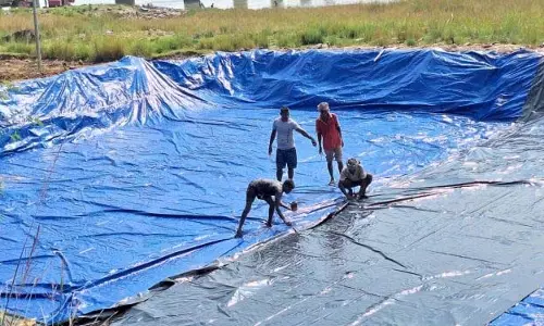 अफीम किसान सम्मानजनक विकल्पों की ओर बढ़ रहे