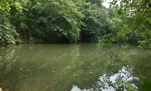 मयूरभंज जिले में ओएमबीएडीसी द्वारा संरक्षण प्रयास