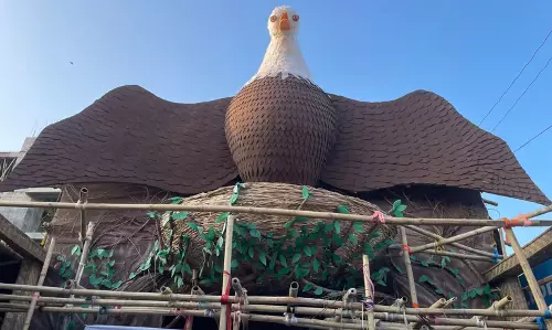 Assam : डिब्रूगढ़ मालीपट्टी दुर्गा पूजा में पक्षी संरक्षण थीम अपनाई गई