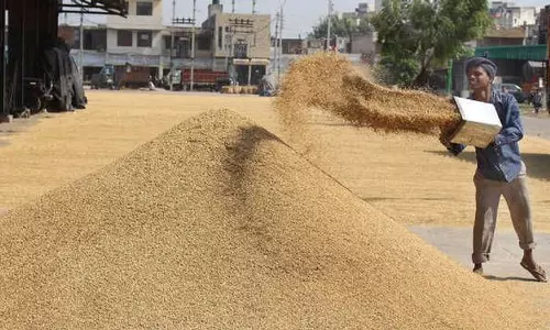 Punjab : धान खरीद में तेजी लाएं नहीं तो आंदोलन का सामना करना पड़ेगा