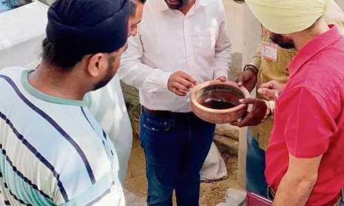 Abohar में 17 लोग डेंगू से संक्रमित, जागरूकता अभियान जारी