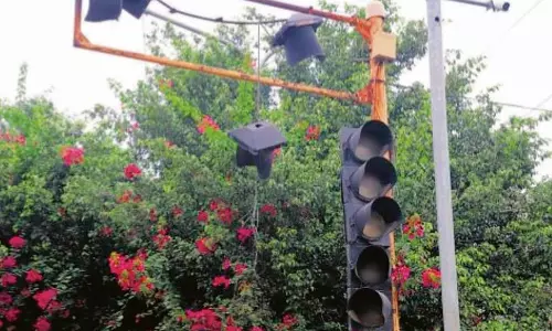Haryana : हमारे पाठक क्या कहते हैं नरवाना में ट्रैफिक लाइटें काम नहीं कर रही Haryana : हमारे पाठक क्या कहते हैं नरवाना में ट्रैफिक लाइटें काम नहीं कर रही