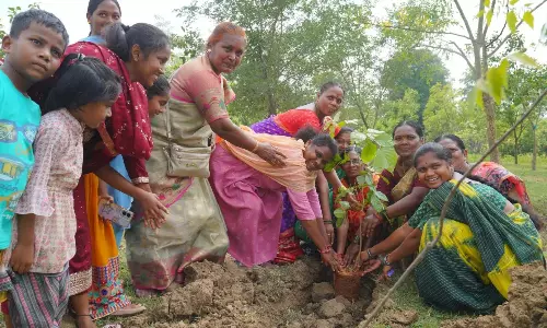 Medaram के ग्रामीणों ने मोक्का मोडुपु उत्सव मनाया, पर्यावरण संरक्षण को बढ़ावा दिया