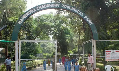 Chandigarh: छतबीड़ चिड़ियाघर में वन्यजीव सप्ताह मनाया गया Chandigarh: छतबीड़ चिड़ियाघर में वन्यजीव सप्ताह मनाया गया