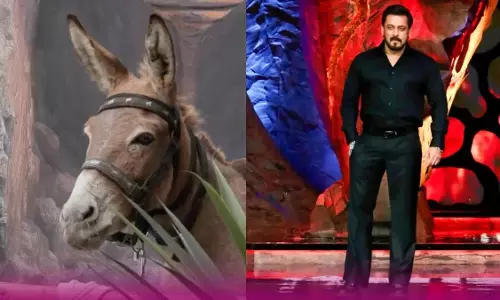 Big Boss के लिए गधा सबसे बड़ी मुसीबत बन गया Big Boss के लिए गधा सबसे बड़ी मुसीबत बन गया