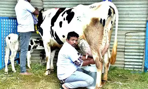 Karnataka: रायथा दशहरा उत्सव के दौरान राज्य स्तरीय दुग्ध प्रतियोगिता का मुख्य आकर्षण Karnataka: रायथा दशहरा उत्सव के दौरान राज्य स्तरीय दुग्ध प्रतियोगिता का मुख्य आकर्षण