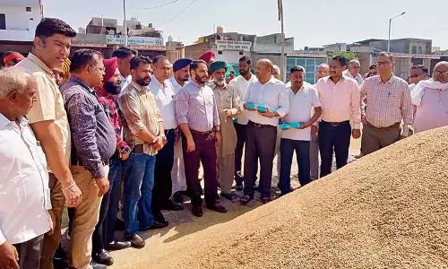 DC ने नवांशहर में किसानों को निर्बाध खरीद का आश्वासन दिया