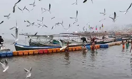 Prayagraj में सैलानियों की भीड़ उमड़ी, साइबेरियन पक्षी त्रिवेणी संगम पर पहुंचे