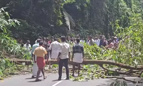 NH संरक्षण समिति ने हाईवे किनारे पेड़ काटे देवीकुलम में हड़ताल की