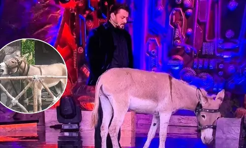 PETA ने सलमान खान को जानवरों का इस्तेमाल न करने के लिए मनाने का आग्रह किया PETA ने सलमान खान को जानवरों का इस्तेमाल न करने के लिए मनाने का आग्रह किया