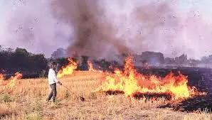 Rewari: पलवल जिले में पराली जलाने पर जुर्माना लगाया गया Rewari: पलवल जिले में पराली जलाने पर जुर्माना लगाया गया