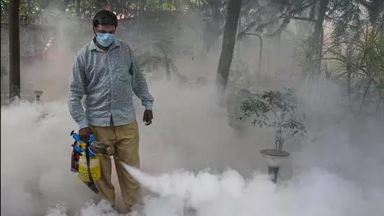 दिल्ली में डेंगू के 43 ‘हॉट स्पॉट’ चिन्हित: MCD दिल्ली में डेंगू के 43 ‘हॉट स्पॉट’ चिन्हित: MCD