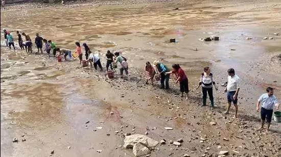 Punjab: धर्मशाला डल झील के फिर सूखने से स्थानीय लोग परेशान Punjab: धर्मशाला डल झील के फिर सूखने से स्थानीय लोग परेशान