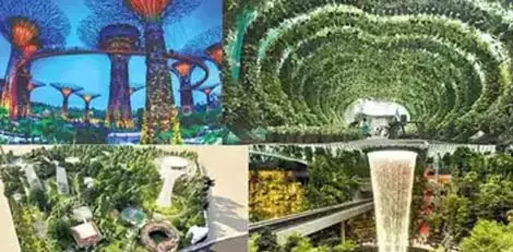 कलैगनार शताब्दी पार्क: प्रकृति प्रेमियों के लिए एक जगह कलैगनार शताब्दी पार्क: प्रकृति प्रेमियों के लिए एक जगह