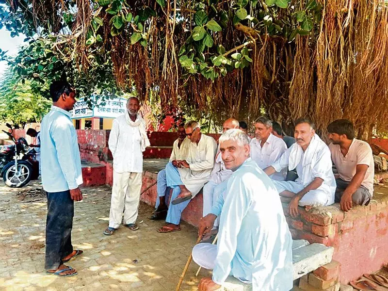 Haryana : कांग्रेस की हार से फोगाट की जीत फीकी, ग्रामीण मायूस Haryana : कांग्रेस की हार से फोगाट की जीत फीकी, ग्रामीण मायूस
