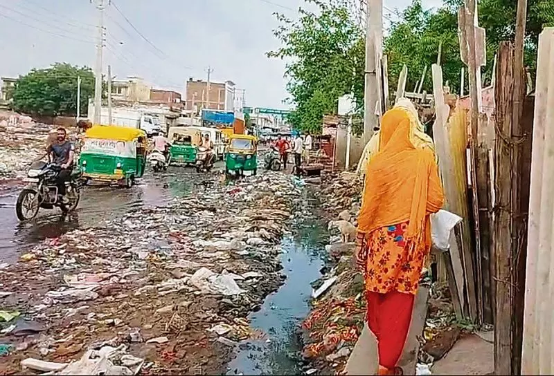 Haryana : हमारे पाठक क्या कहते हैं सब्जी मंडी में फेंका गया कूड़ा Haryana : हमारे पाठक क्या कहते हैं सब्जी मंडी में फेंका गया कूड़ा