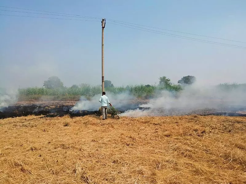 Haryana : पलवल में पराली जलाने पर जुर्माना Haryana : पलवल में पराली जलाने पर जुर्माना